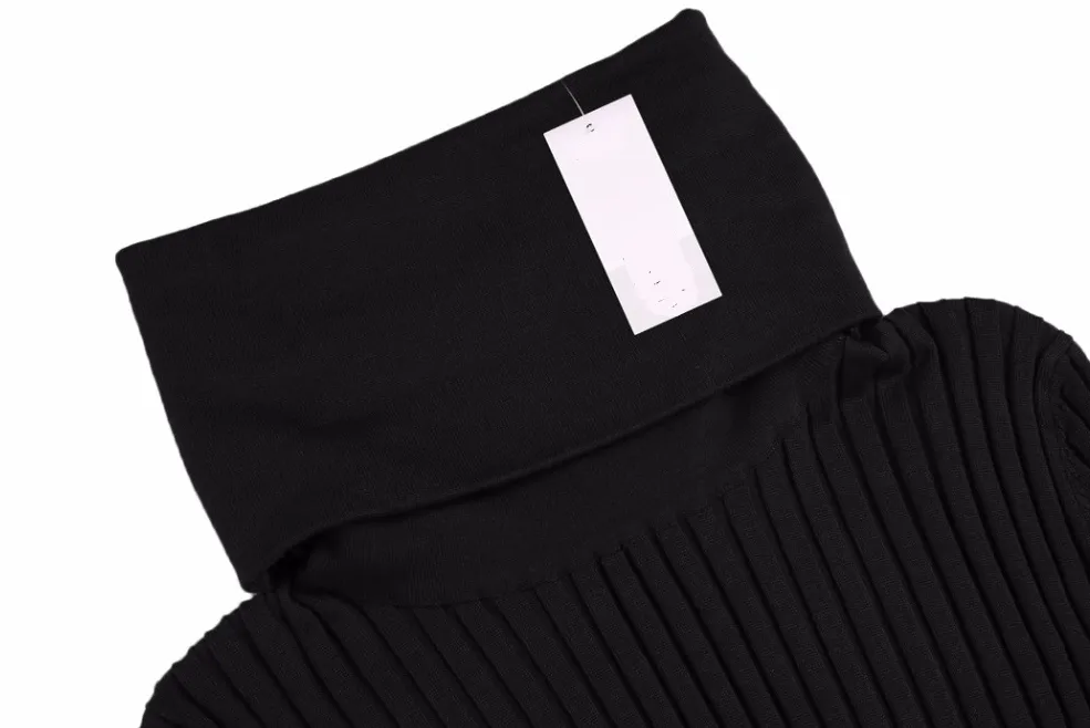 Long Sleeve Turtleneck Women's Sweater Dress For Winter And Autumn