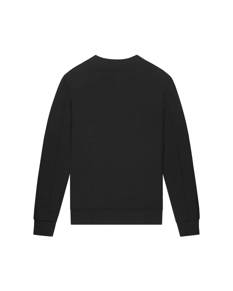 Malelions men turtle sweater