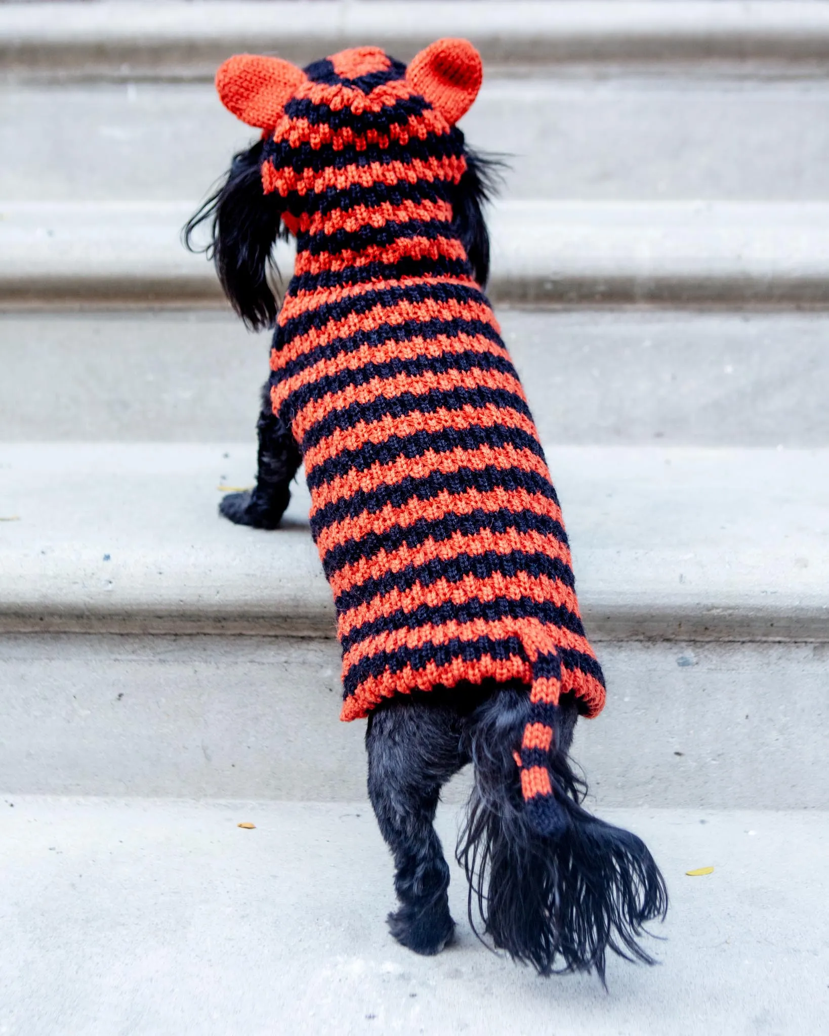 Tiger Hand-Knit Dog Sweater (DOG & CO. Exclusive)