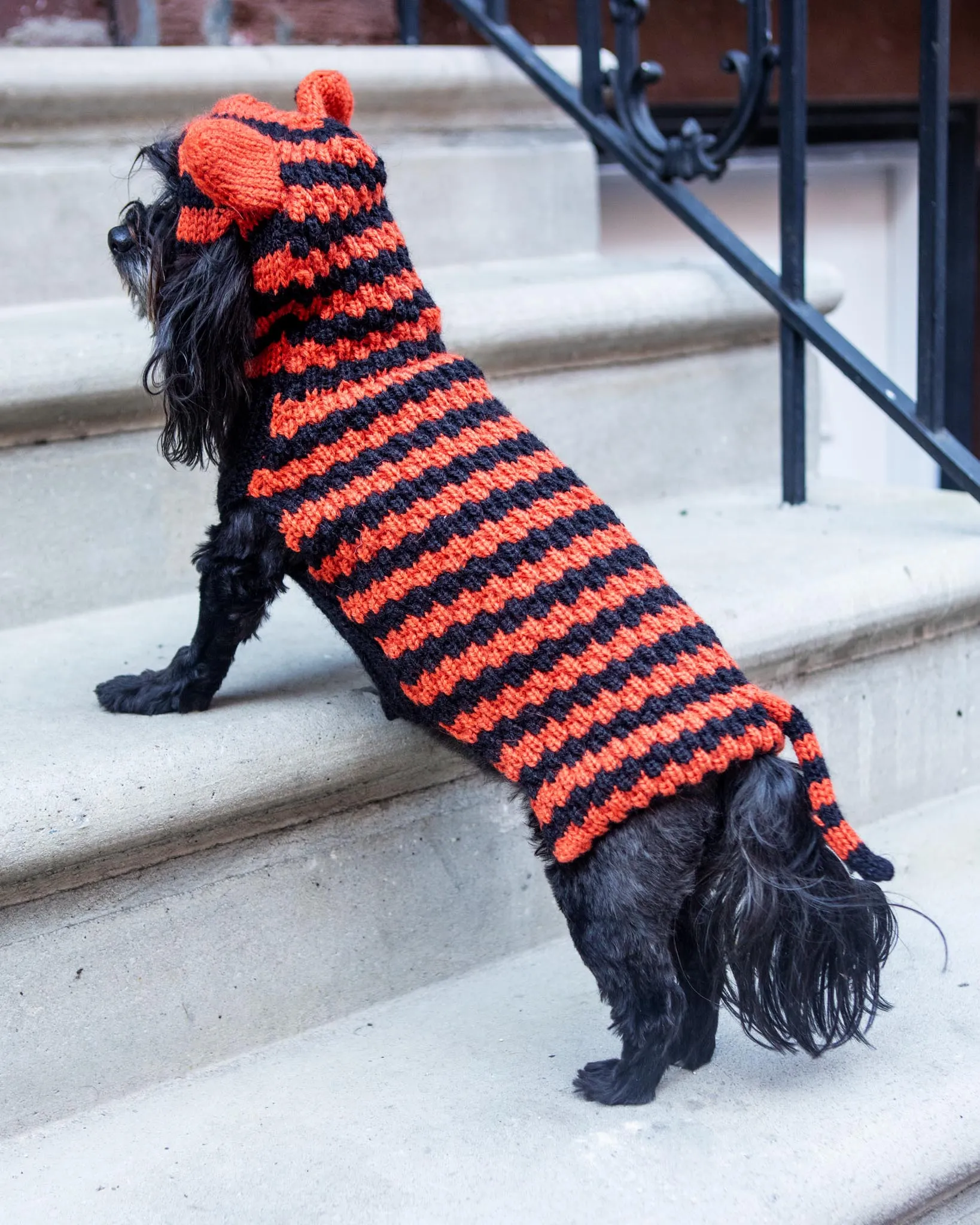 Tiger Hand-Knit Dog Sweater (DOG & CO. Exclusive)