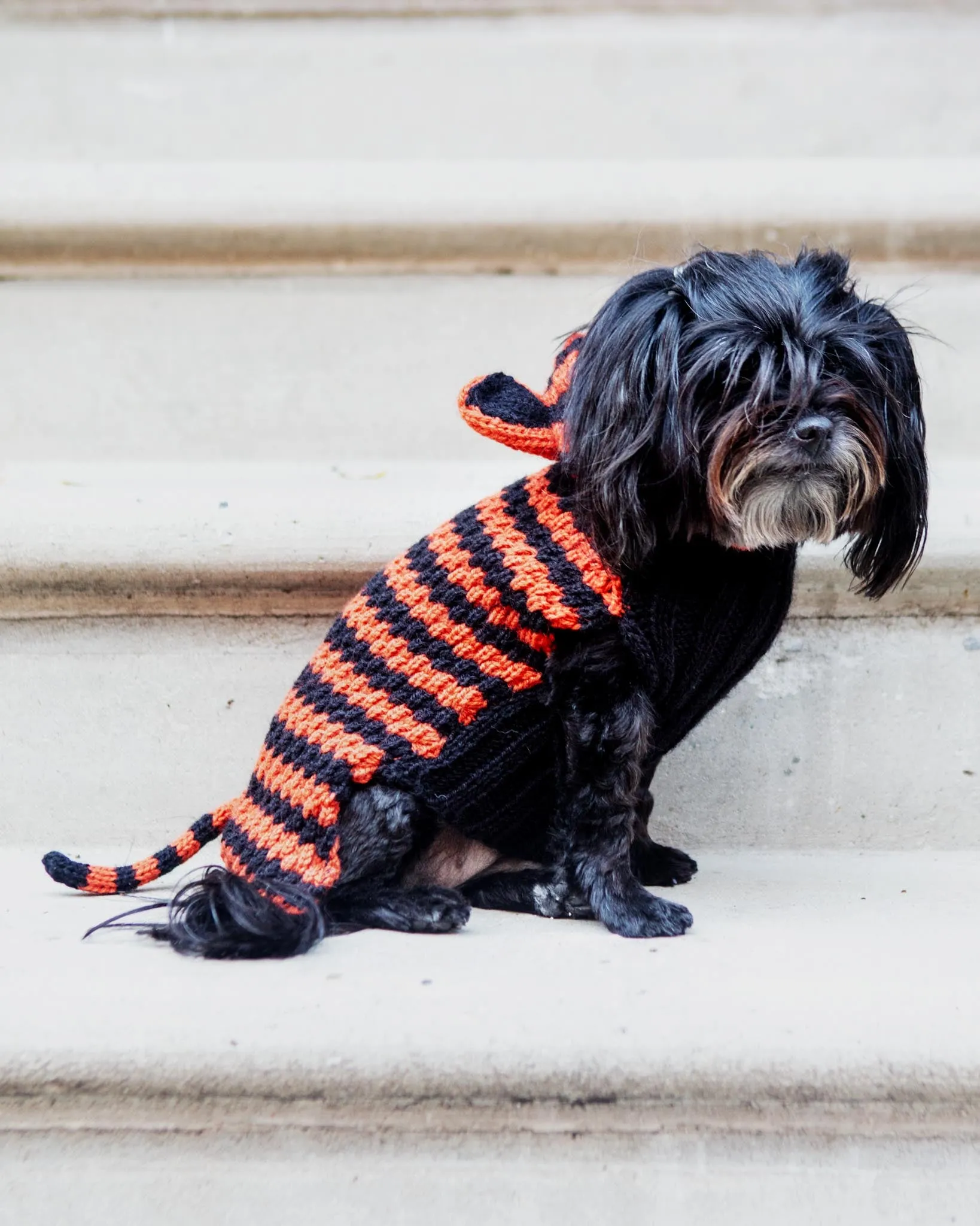 Tiger Hand-Knit Dog Sweater (DOG & CO. Exclusive)
